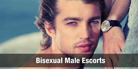 gay escorts near me|Gay, Bi and Trans Escorts